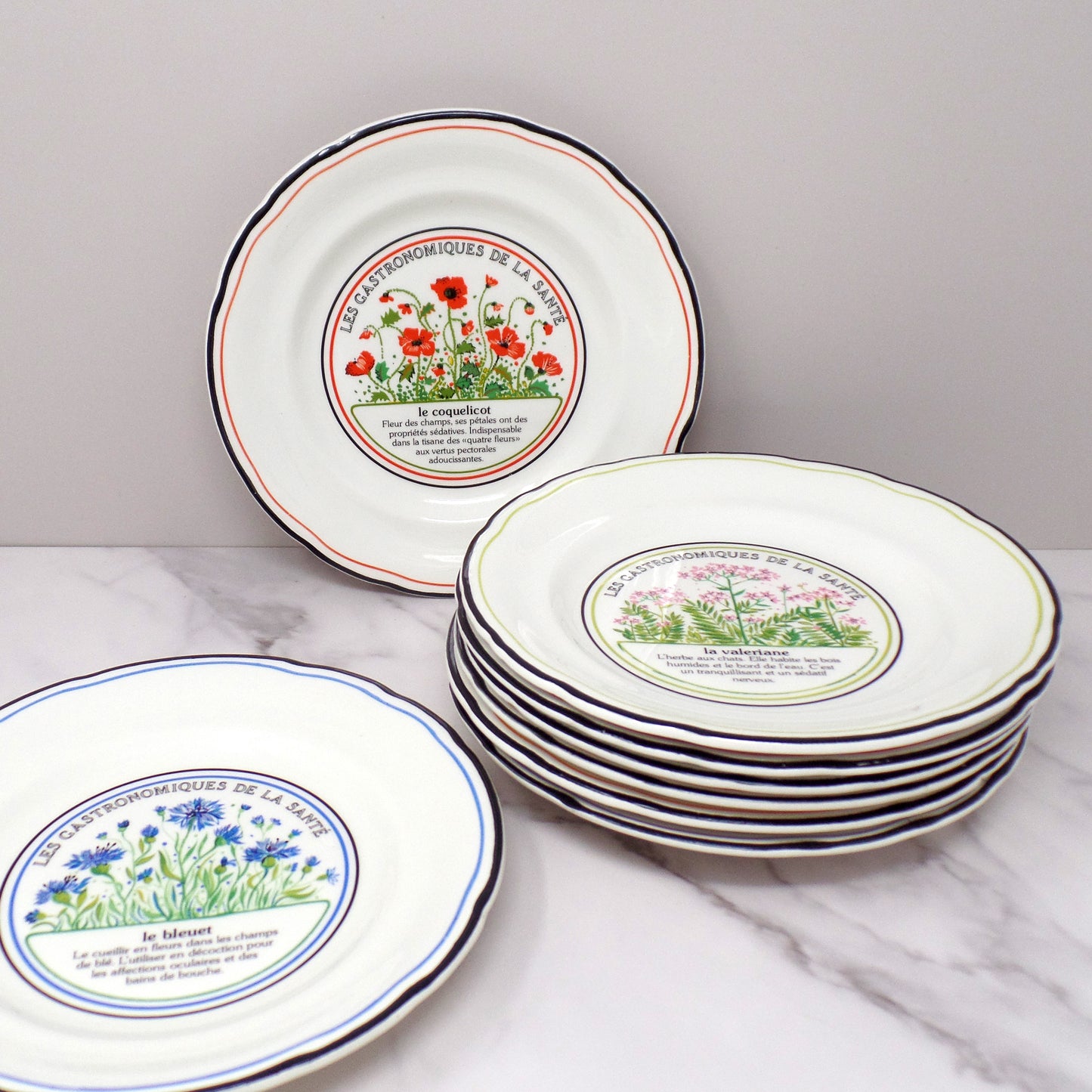 Vintage Gien Les Gastronomiques De La Sante, Le Jardin Enchante Dessert Plates - set of 8 in Original Box (1980s-1990s)
