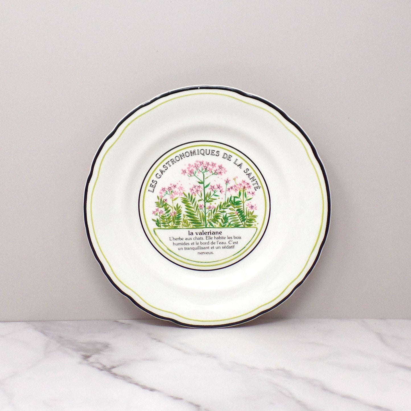 Vintage Gien Les Gastronomiques De La Sante, Le Jardin Enchante Dessert Plates - set of 8 in Original Box (1980s-1990s)