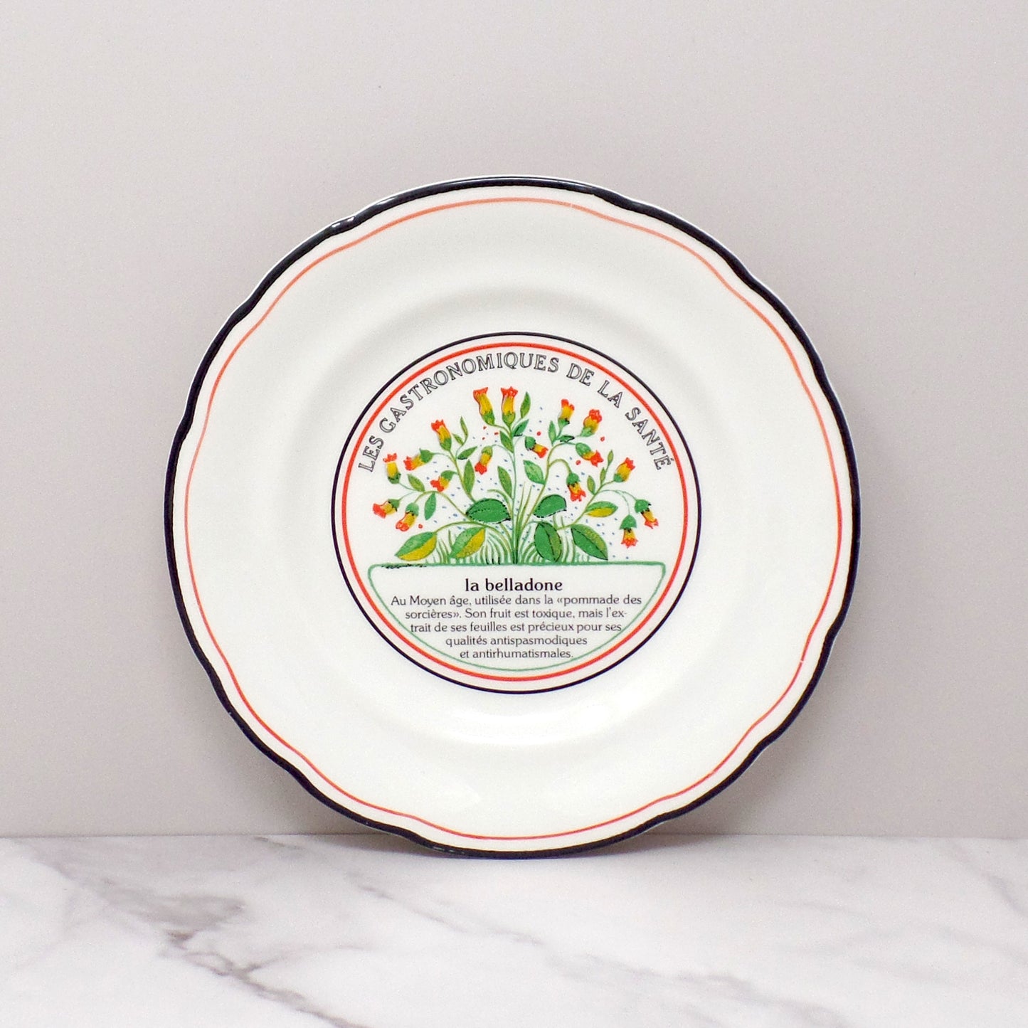 Vintage Gien Les Gastronomiques De La Sante, Le Jardin Enchante Dessert Plates - set of 8 in Original Box (1980s-1990s)