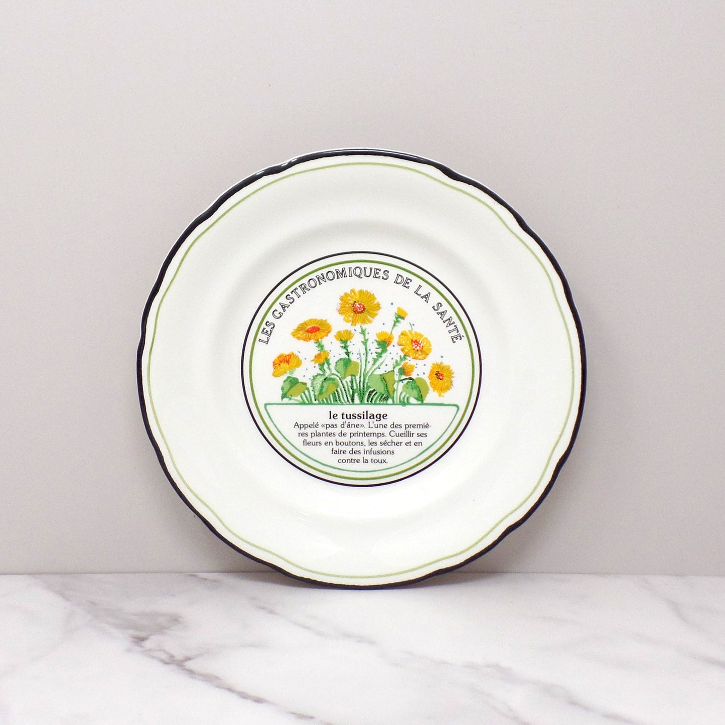 Vintage Gien Les Gastronomiques De La Sante, Le Jardin Enchante Dessert Plates - set of 8 in Original Box (1980s-1990s)