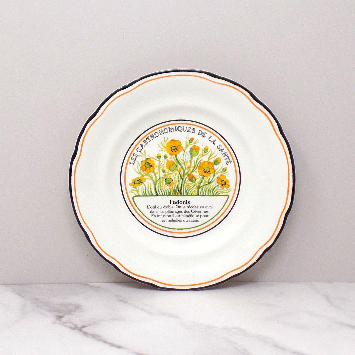 Vintage Gien Les Gastronomiques De La Sante, Le Jardin Enchante Dessert Plates - set of 8 in Original Box (1980s-1990s)