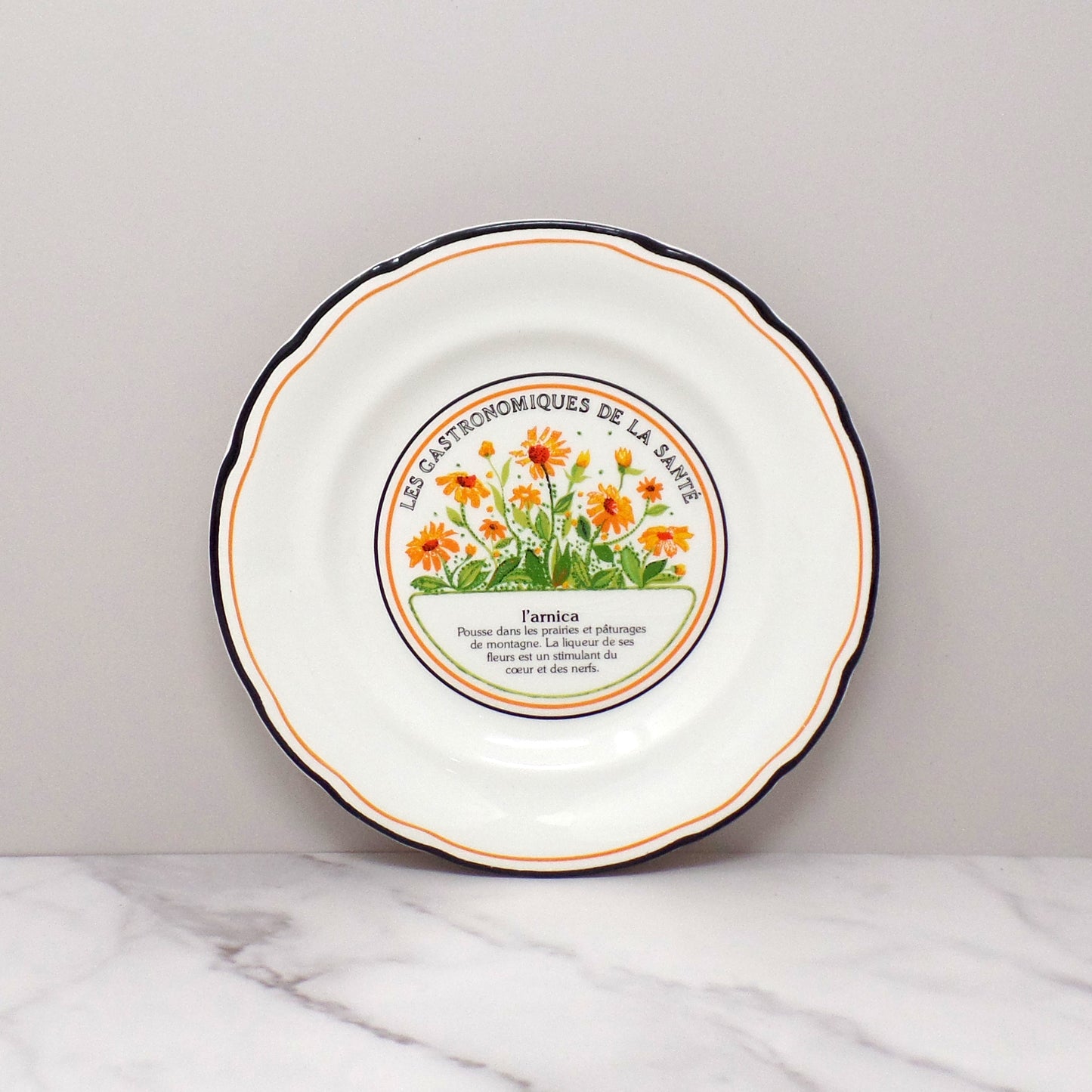 Vintage Gien Les Gastronomiques De La Sante, Le Jardin Enchante Dessert Plates - set of 8 in Original Box (1980s-1990s)