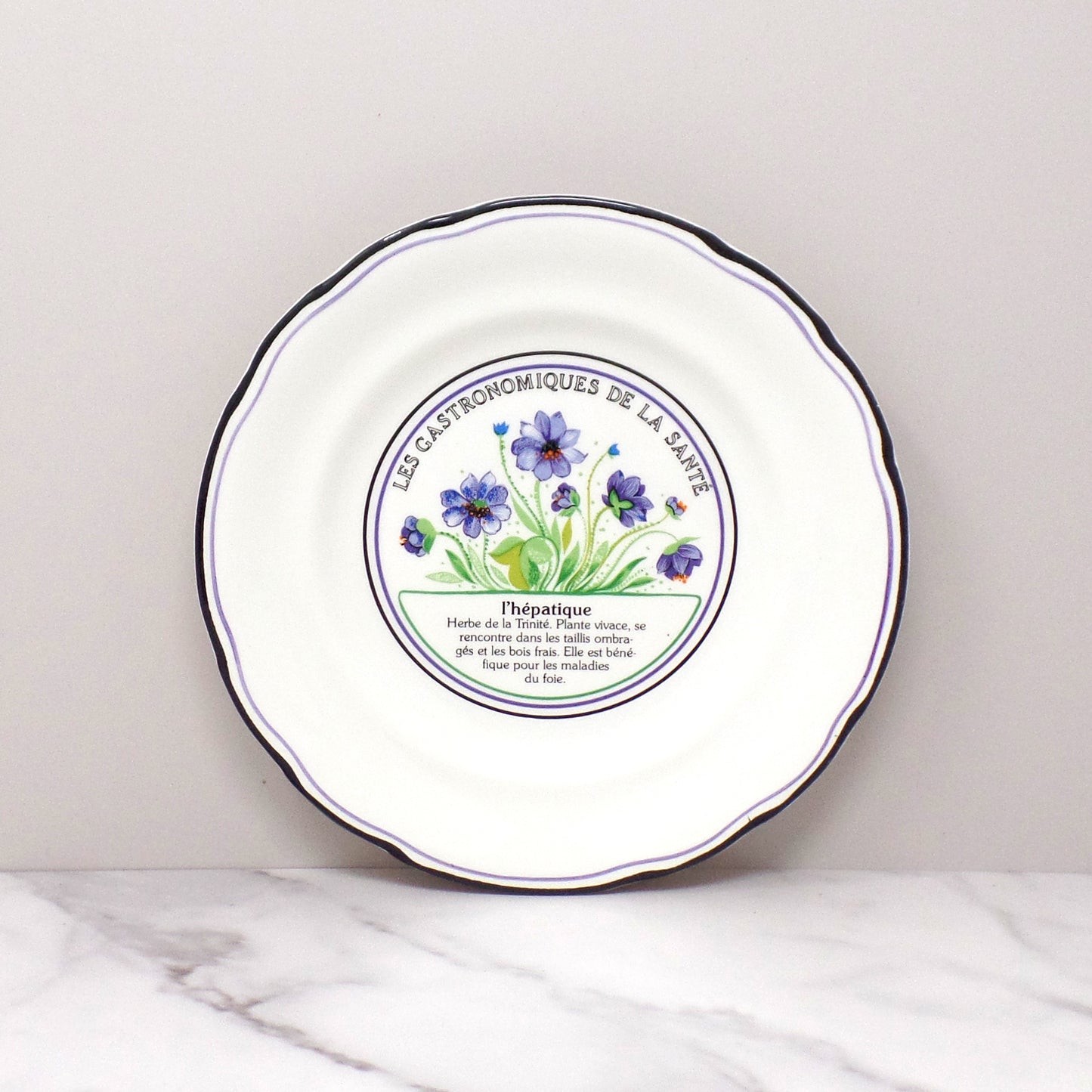 Vintage Gien Les Gastronomiques De La Sante, Le Jardin Enchante Dessert Plates - set of 8 in Original Box (1980s-1990s)