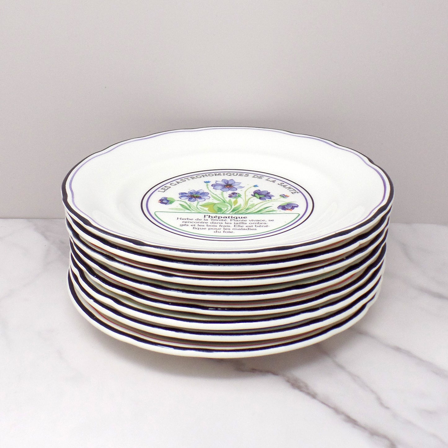 Vintage Gien Les Gastronomiques De La Sante, Le Jardin Enchante Dessert Plates - set of 8 in Original Box (1980s-1990s)
