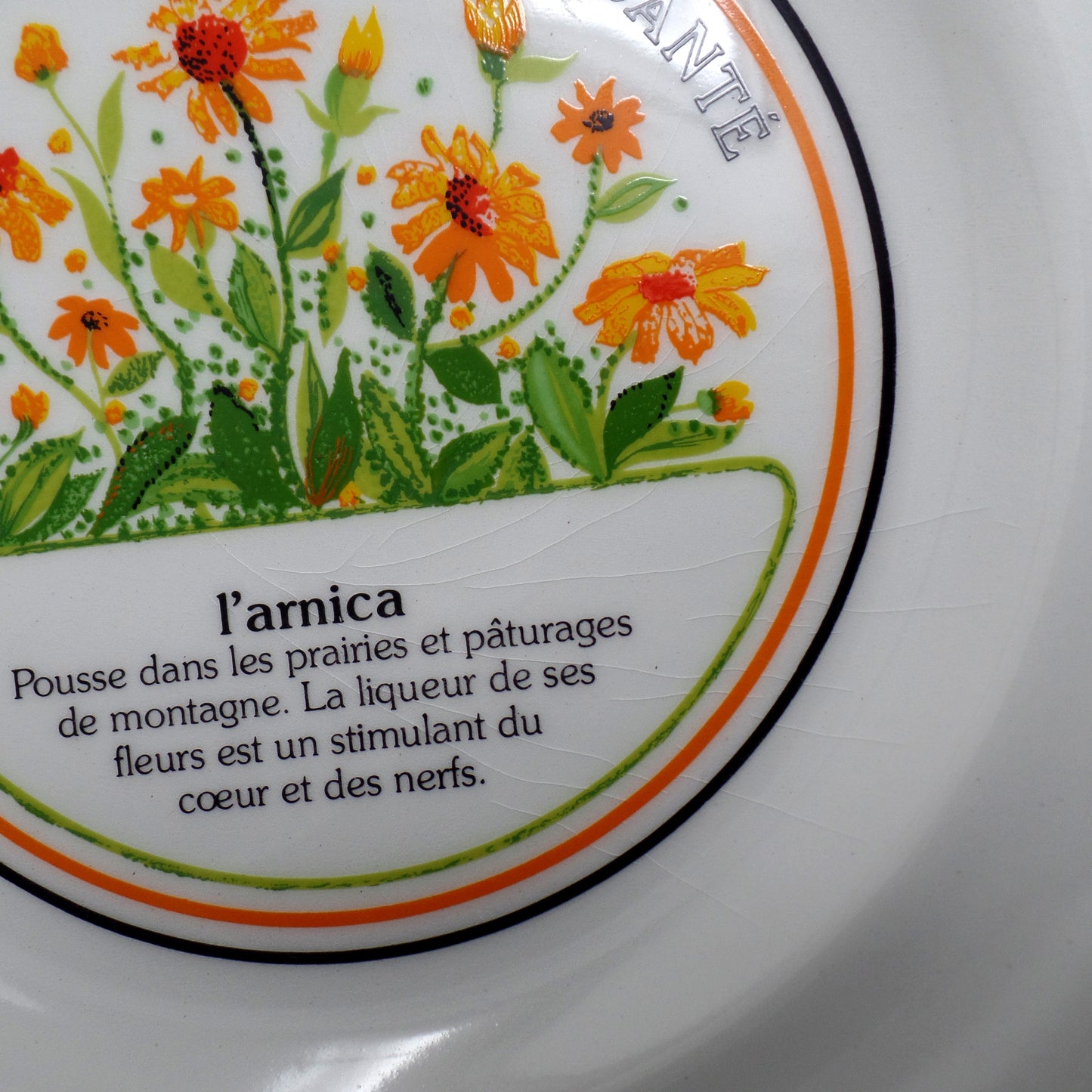 Vintage Gien Les Gastronomiques De La Sante, Le Jardin Enchante Dessert Plates - set of 8 in Original Box (1980s-1990s)