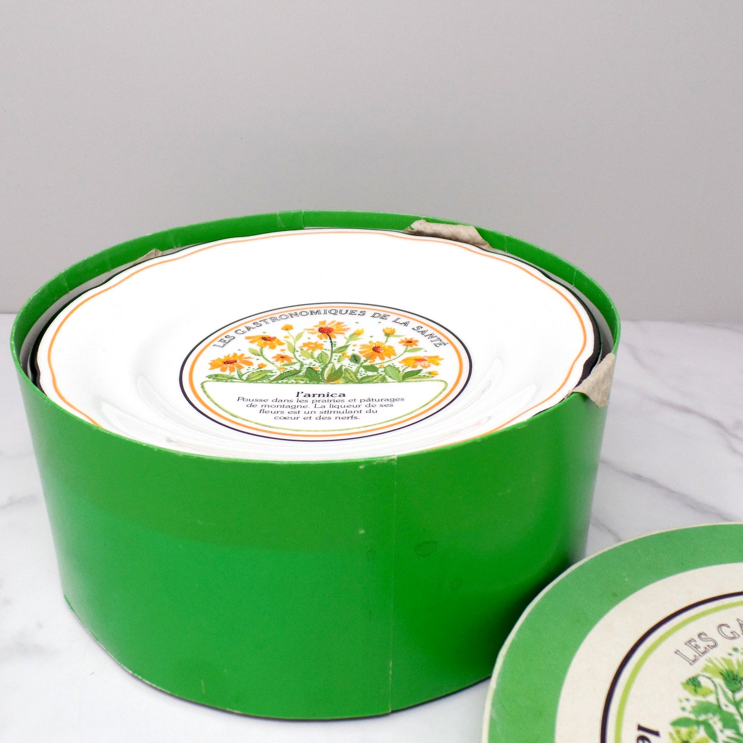 Vintage Gien Les Gastronomiques De La Sante, Le Jardin Enchante Dessert Plates - set of 8 in Original Box (1980s-1990s)