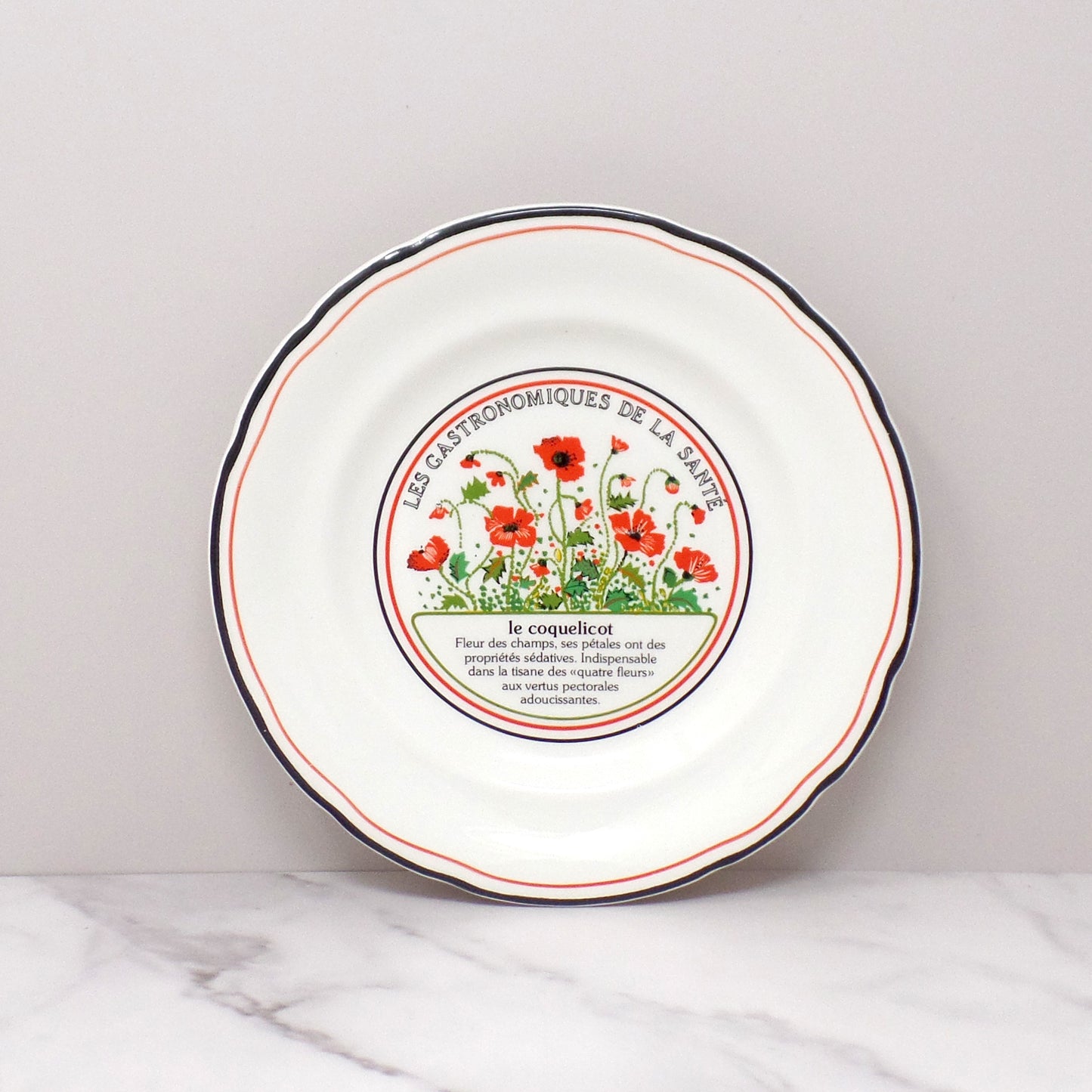 Vintage Gien Les Gastronomiques De La Sante, Le Jardin Enchante Dessert Plates - set of 8 in Original Box (1980s-1990s)