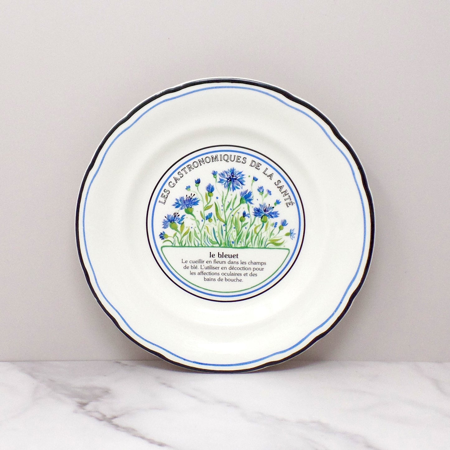 Vintage Gien Les Gastronomiques De La Sante, Le Jardin Enchante Dessert Plates - set of 8 in Original Box (1980s-1990s)