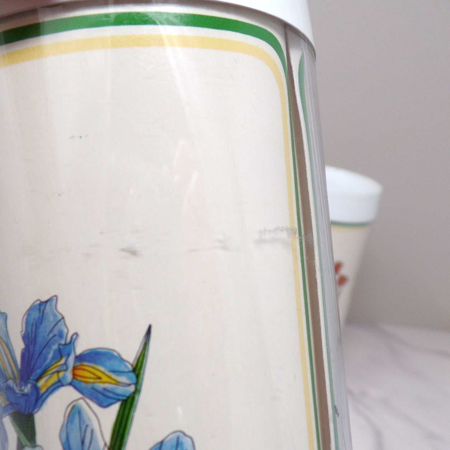 Vintage Thermo-Serv Plastic Double-walled 12 oz Tumblers, Floral, set of 4 (1980)