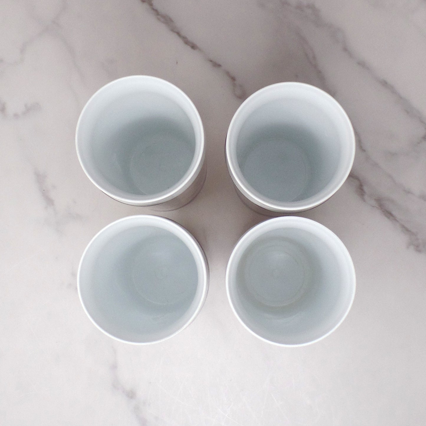 Vintage Thermo-Serv Plastic Double-walled 12 oz Tumblers, Floral, set of 4 (1980)