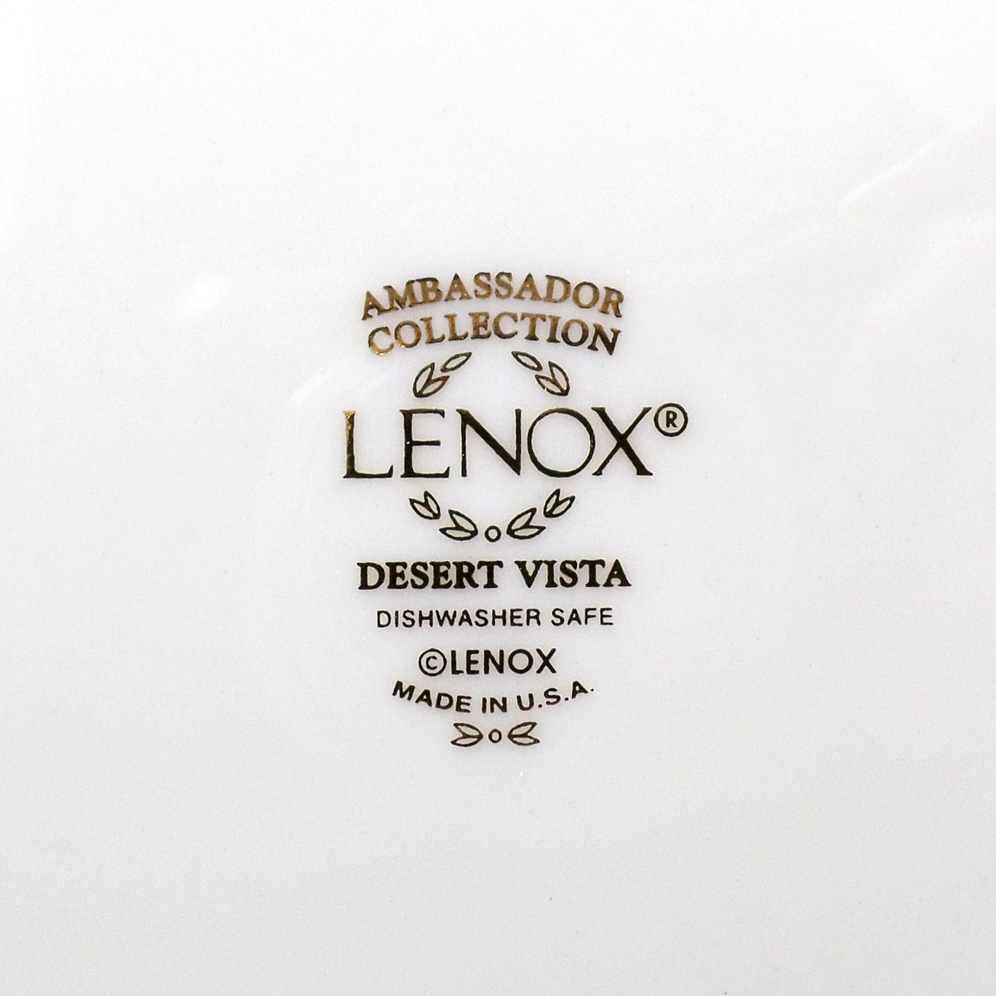 Vintage Lenox Bone China Desert Vista 9" Rimmed Soup / Pasta Bowl (2005-2008)