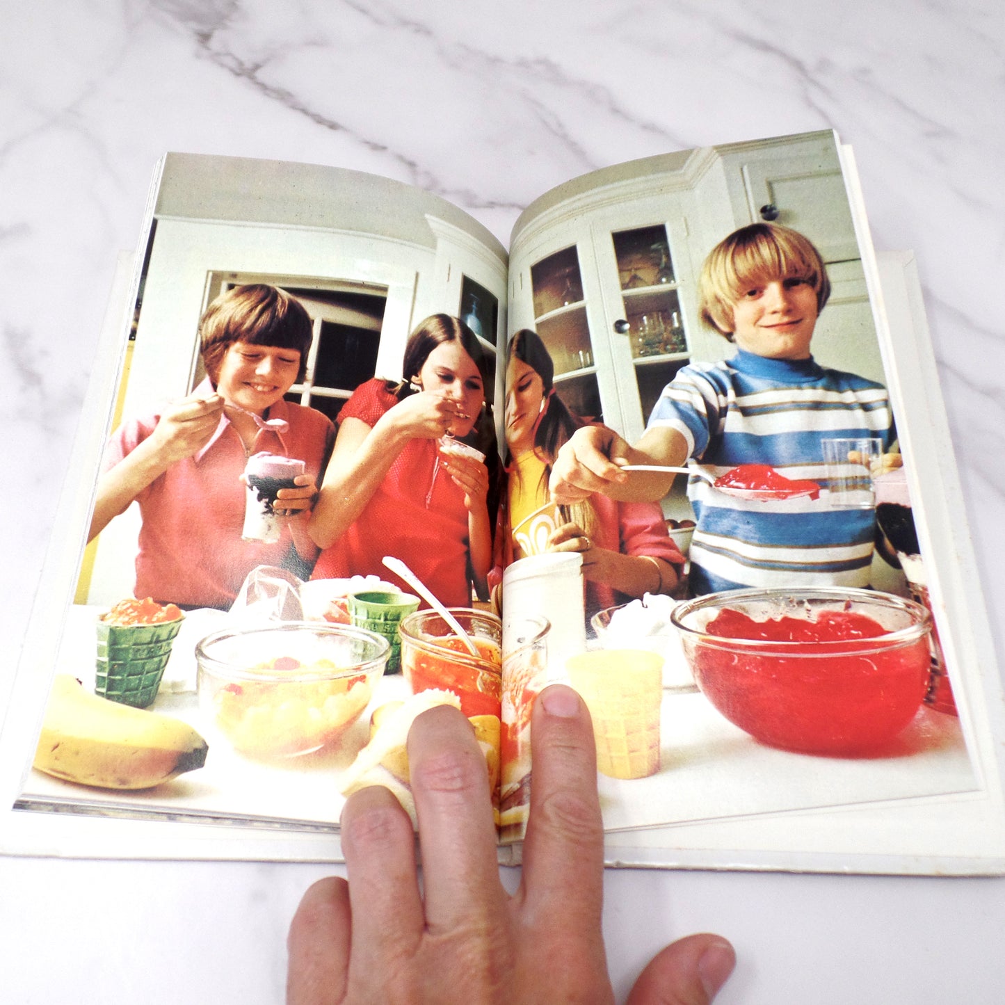 Vintage Cookbook - The New Joys of Jell-O Recipe Book (1975)