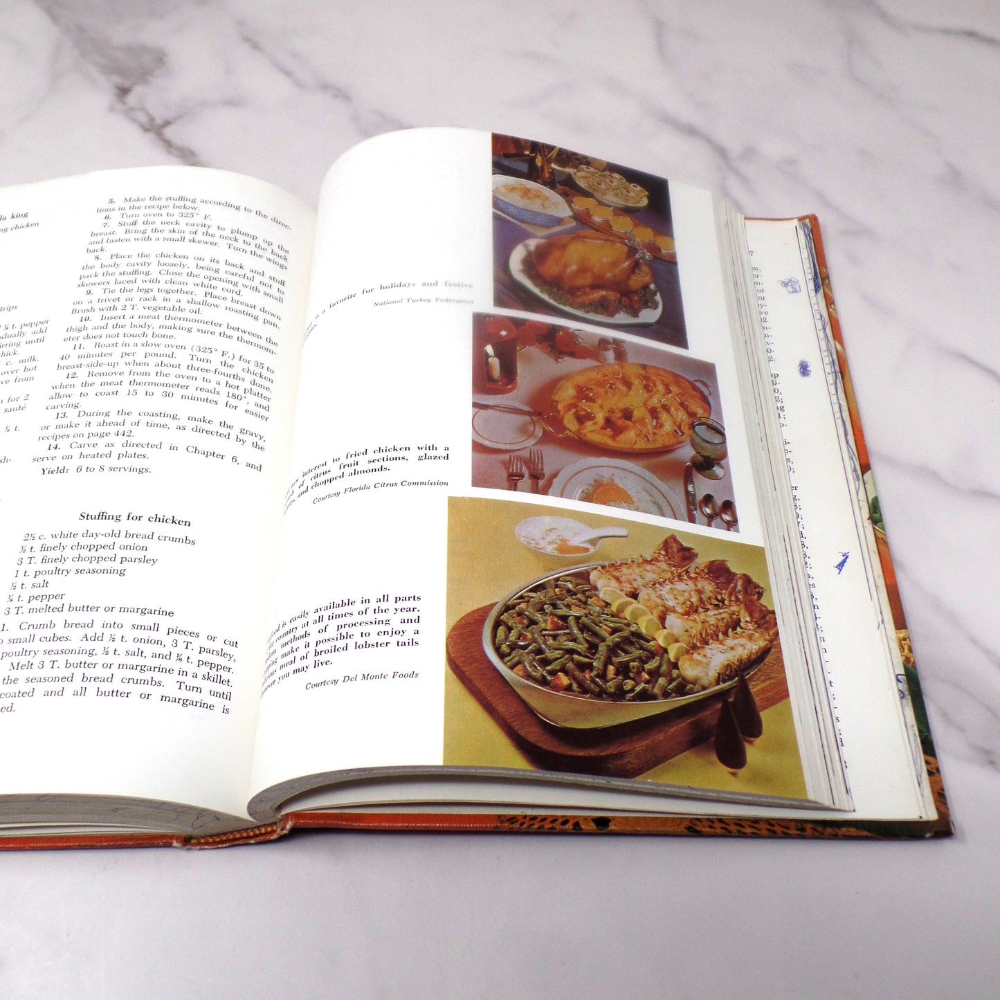 Vintage Food for Modern Living Textbook, Lippincott (1967)