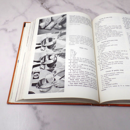 Vintage Food for Modern Living Textbook, Lippincott (1967)