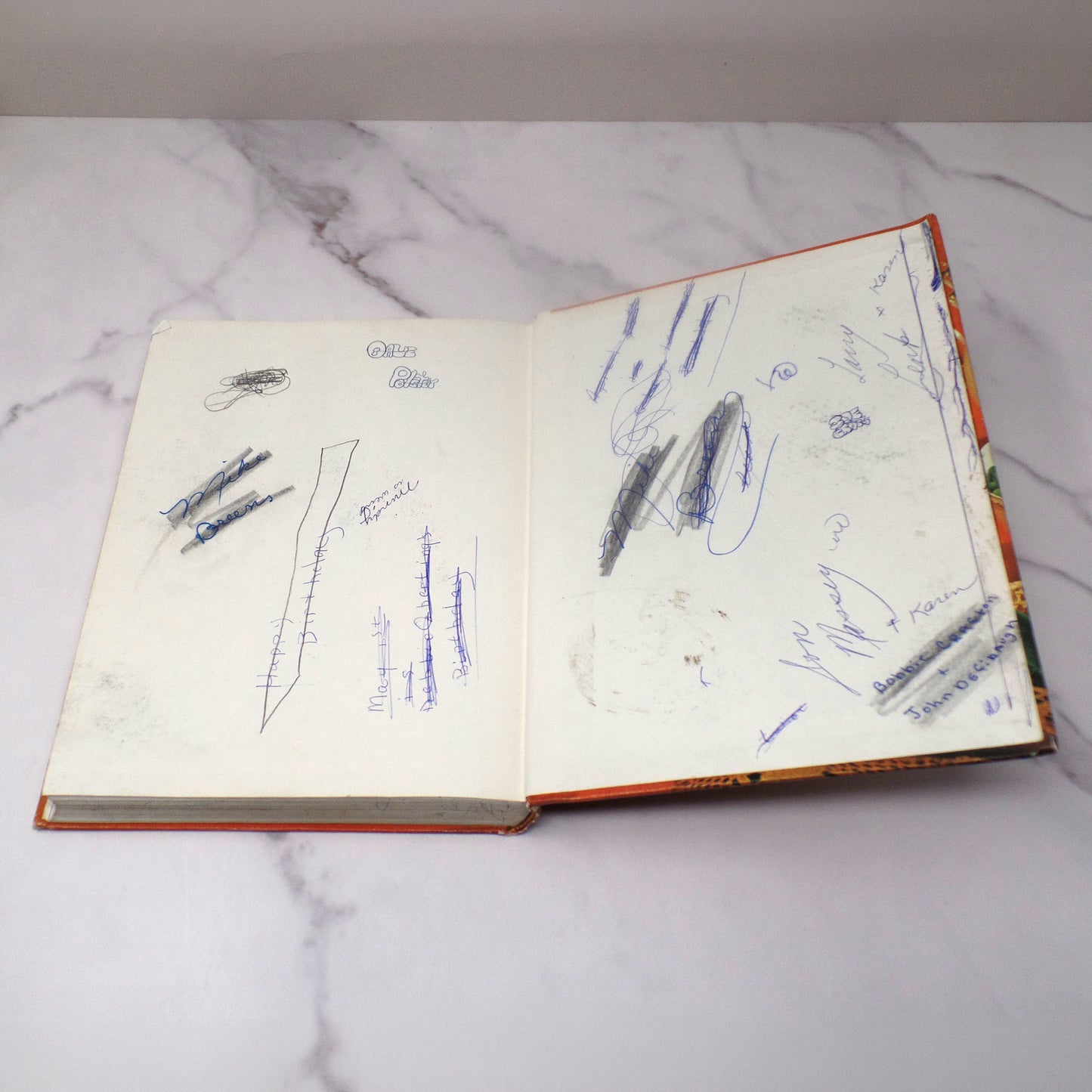 Vintage Food for Modern Living Textbook, Lippincott (1967)