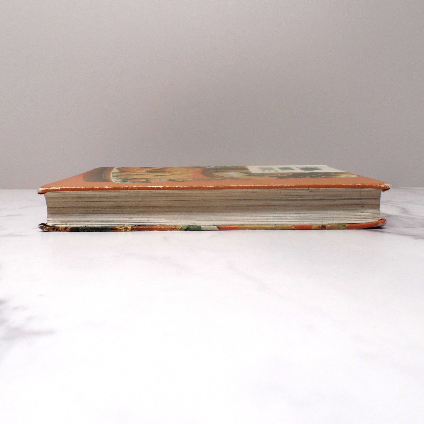 Vintage Food for Modern Living Textbook, Lippincott (1967)