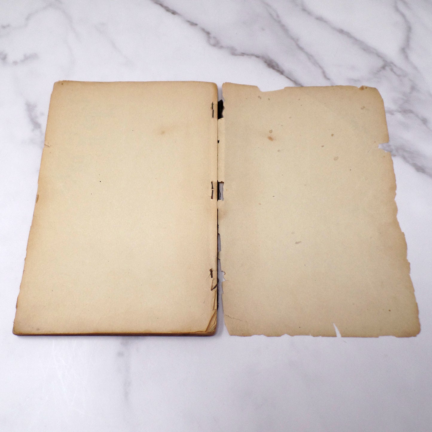Antique Book, Foods: Their Preparation and Serving, Public Schools of Indianapolis, Indiana (1919)
