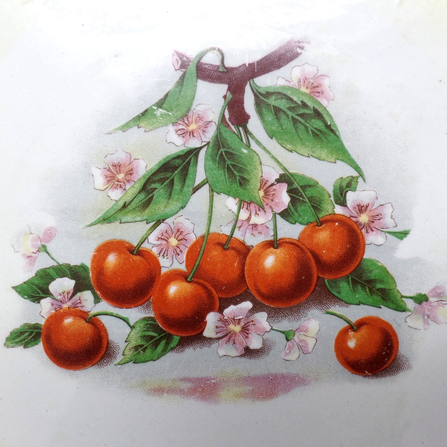 Antique East End Pottery Co. Porcelain Plate, Cherries & Blossoms (1894-1910)