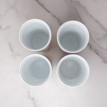Vintage Thermo-Serv Plastic Double-walled 12 oz Tumblers, Floral, set of 4 (1980)