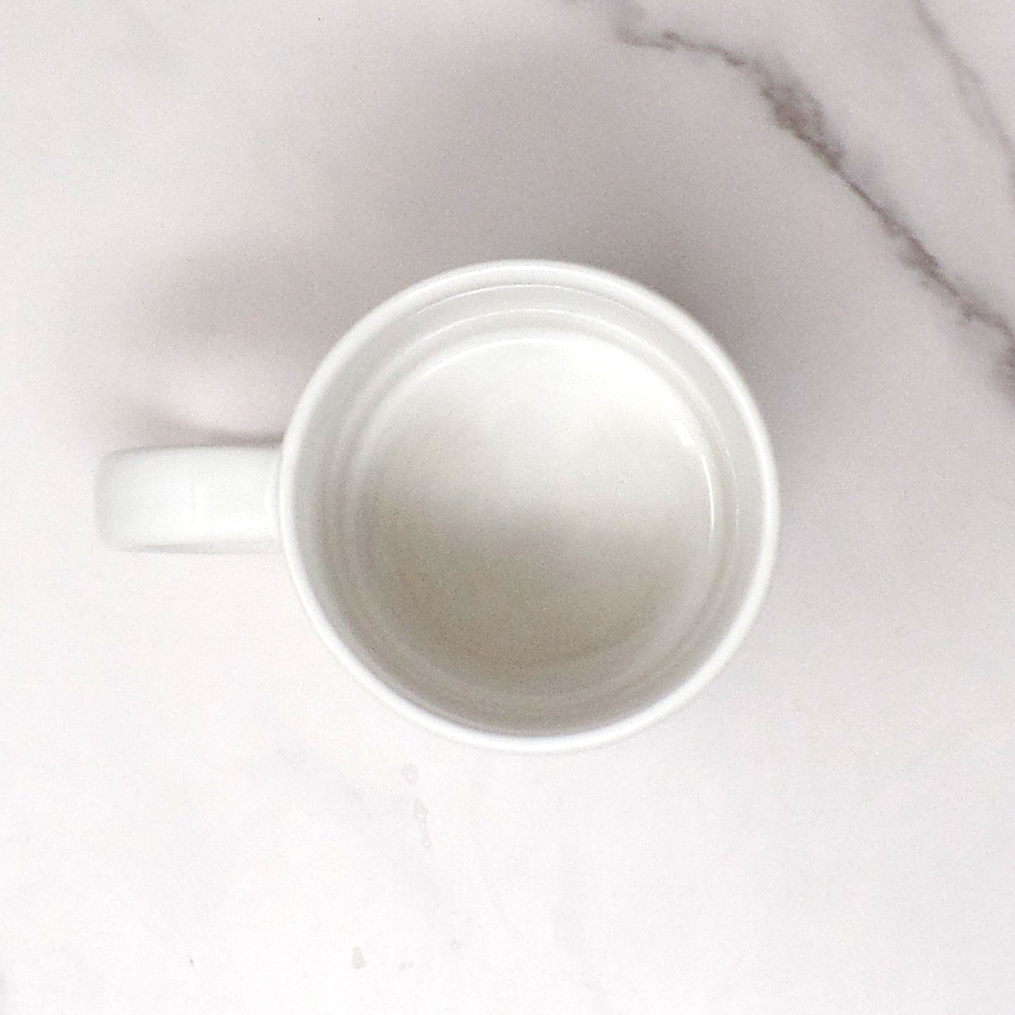 Vintage Nina Daffodil Mug, 12 oz (1983)