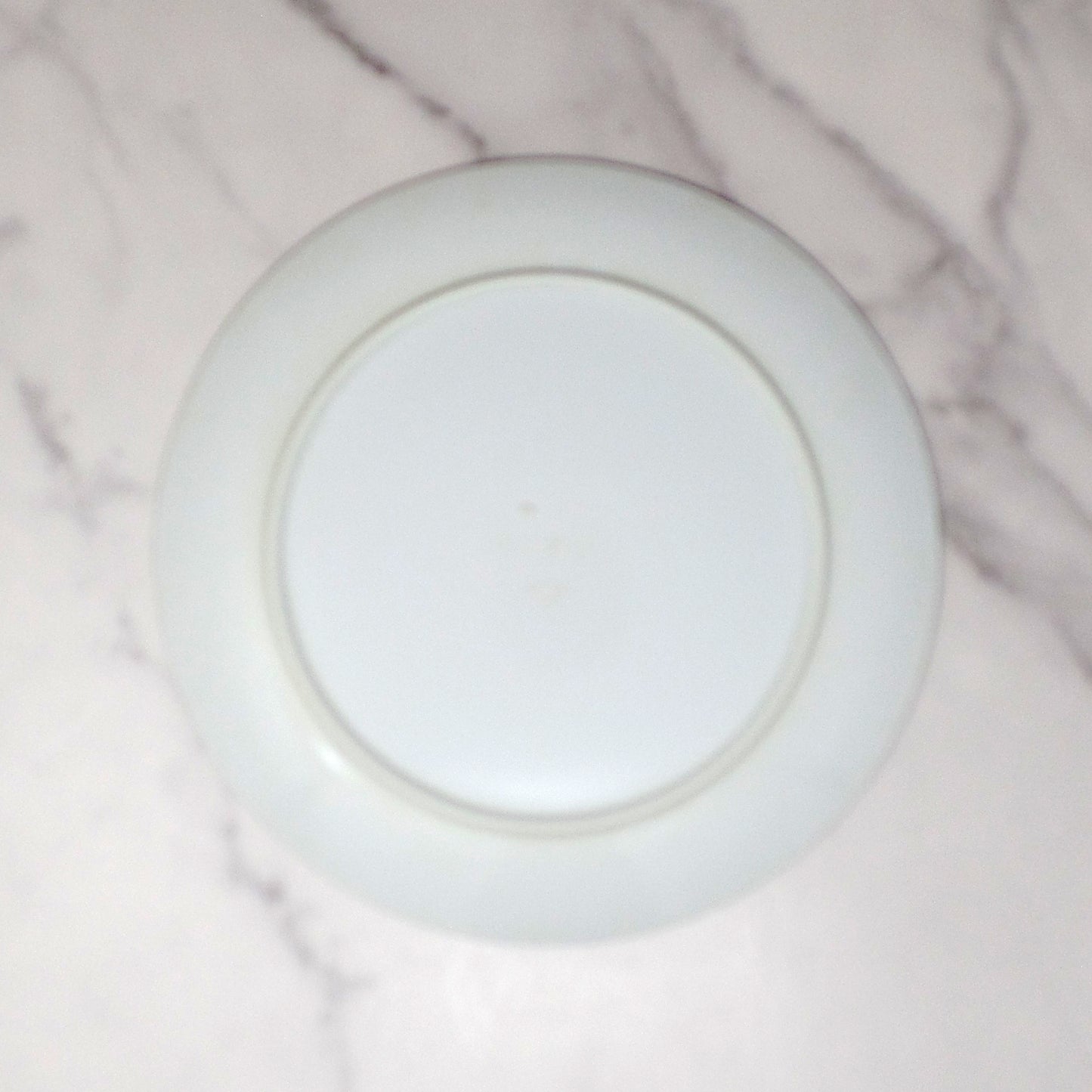Vintage Texas Ware Melmac / Melamine 10” Dinner Plates, G-3 Atomic Leaf - set of 4 (1950-60s)