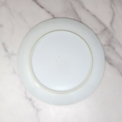 Vintage Texas Ware Melmac / Melamine 10” Dinner Plates, G-3 Atomic Leaf - set of 4 (1950-60s)