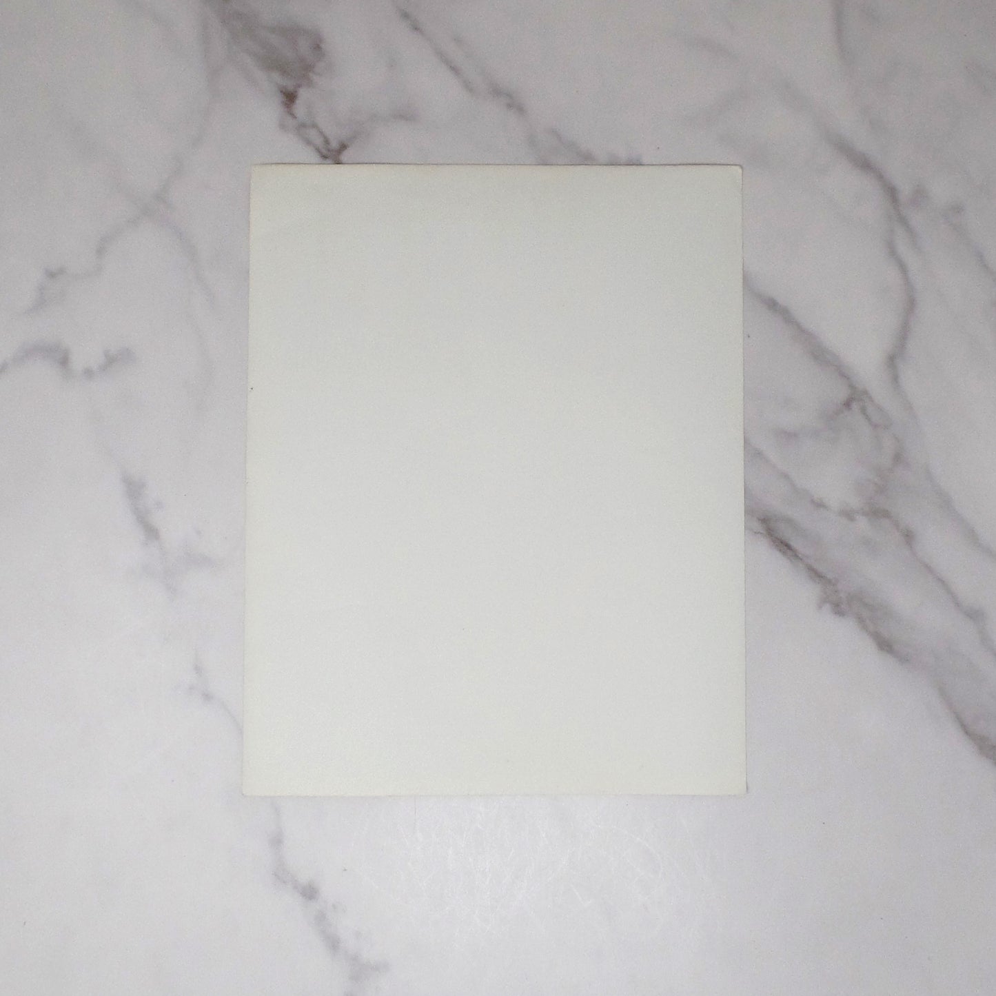 Vintage Gloria Swanson Autographed 8x10 Photograph